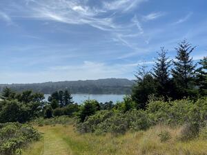 Martin Griffin Preserve View