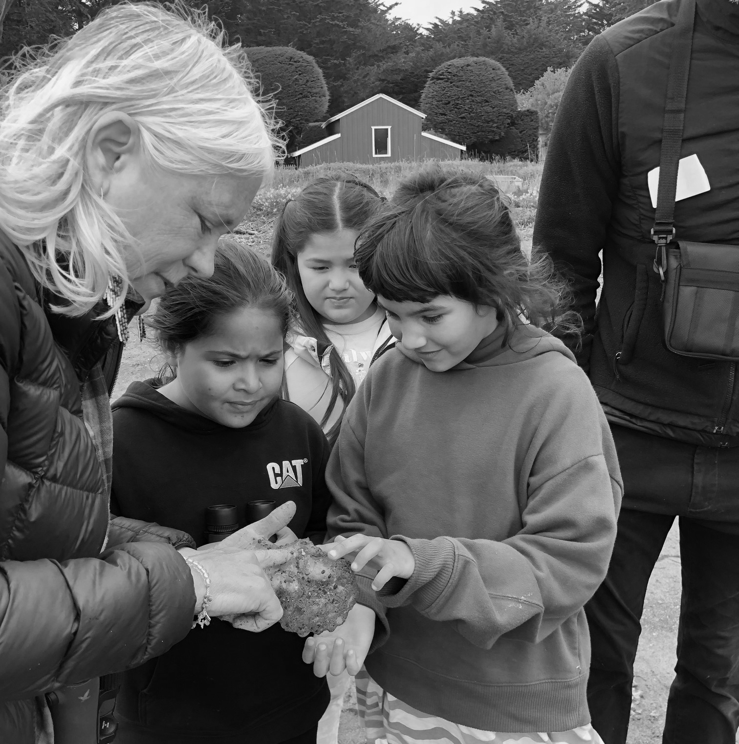 IMG_7624 bw