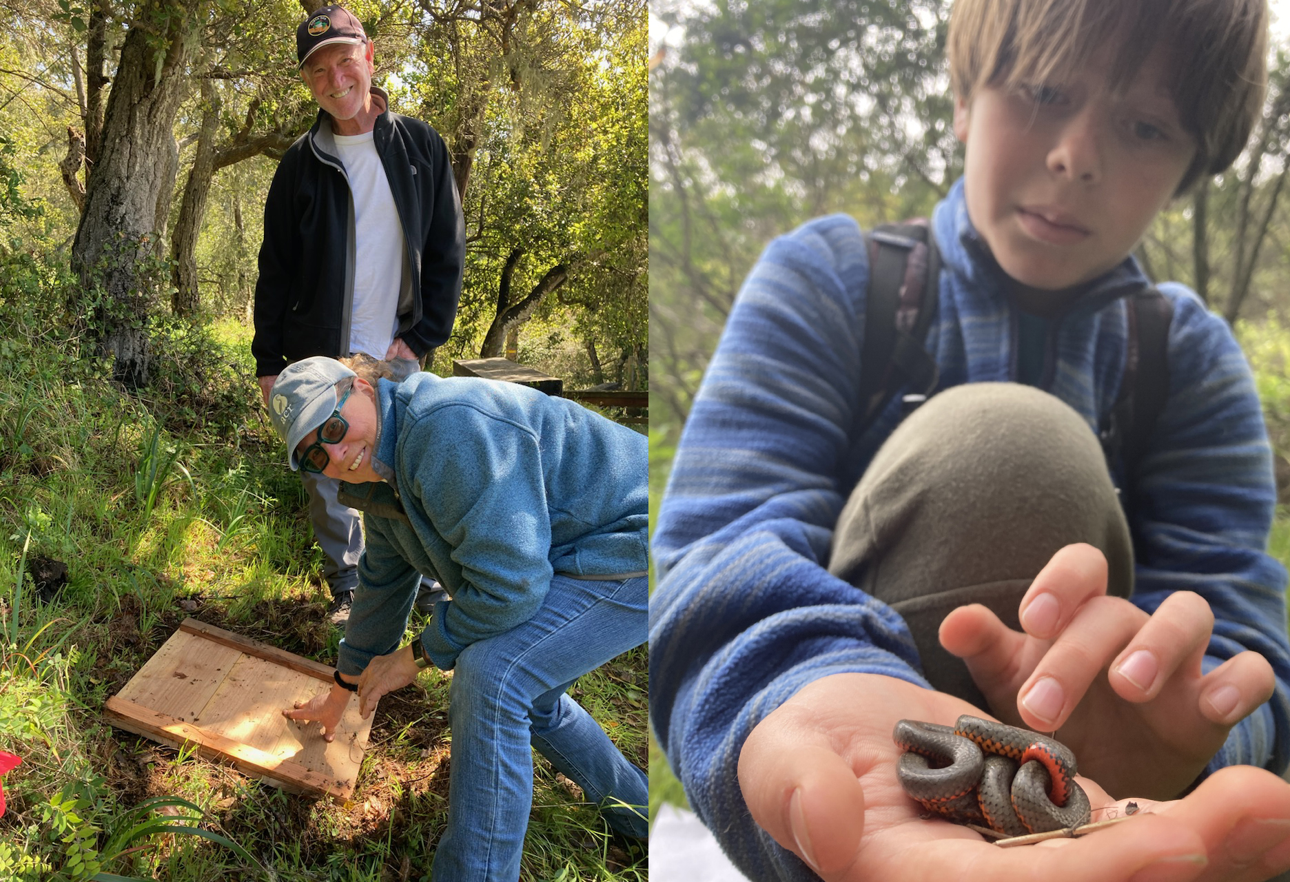 herp-cover-board training