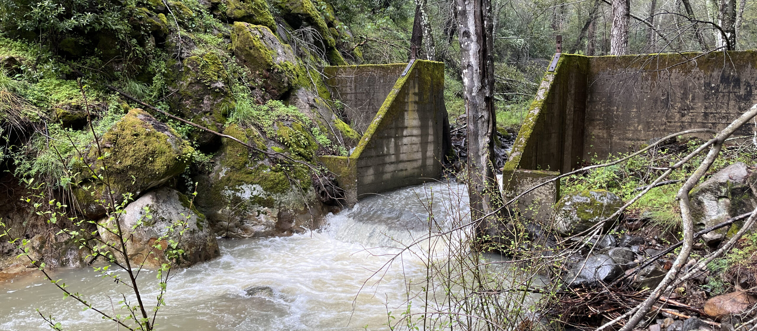 IMG_2597 dam- crop -SWarnock