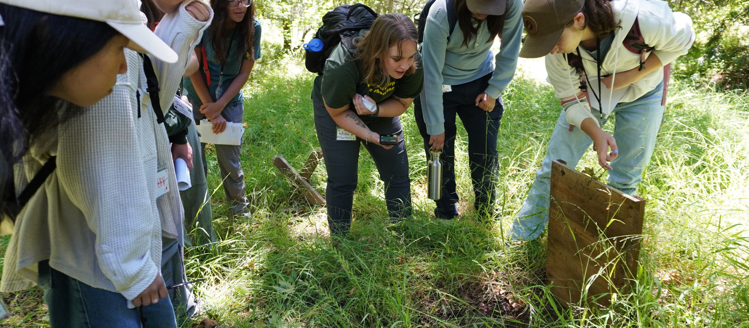 audubon canyon ranch coverboard training